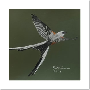 Scissor-tailed Flycatcher Posters and Art